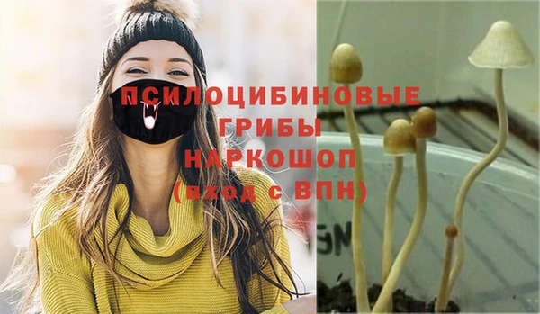 альфа пвп Гусь-Хрустальный